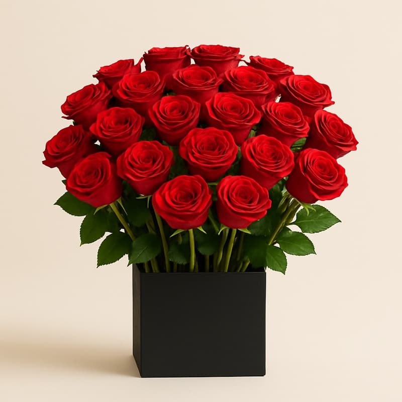 24 rosas rojas premium
